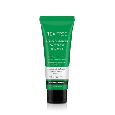 Wholesale Bsfyourskin Tea Tree Face Wash